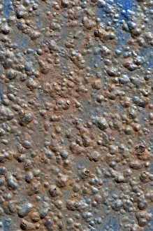 Weathered Metal Texture Drucke: Blue-painted metal surface with rust, background