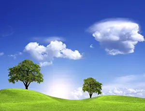 Ecological Oak Trees Drucke: Blue Planet