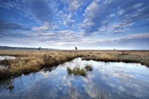 Drucke von Blaues Himmelbild von Wolken, gespiegelt in einem wilden See, Drenthe, Niederlande See Drucke: Blaues Himmelwolkenpanorama spiegelt sich in wildem See.