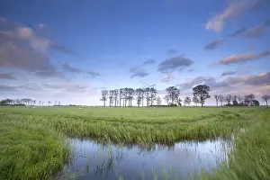 Blue Sky Reflection Drucke: Blue sky reflected in river on meadows