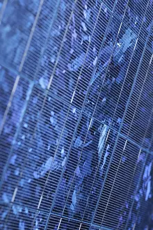Close Up Detail Drucke: Detail of a blue solar panel. Suitable for background