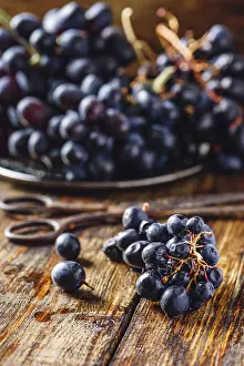 Fresh Fruits And Vegetables Drucke: Blue Vine Grapes and Rusty Scissors