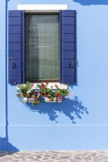 Flower Box Window Decoration Drucke: Blue wall with window and flower box