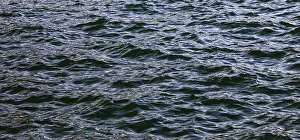 Abstract Background Image Drucke: Blue water surface with small waves