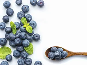 European Blueberry Drucke: Blueberries isolated on white background