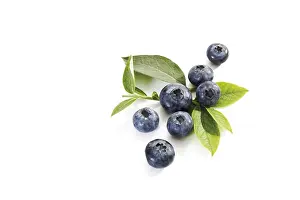 Blueberries Nutrition Drucke: Blueberries with leaves