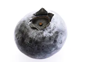 European Blueberry Drucke: Blueberry