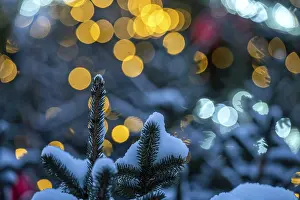 Christmasy Decorative Item Drucke: Blurred background of Christmas tree with decorations