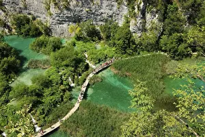 Drucke von Ein Spazierweg durch die Plitvicer Seen, Plitvice, Kroatien See Drucke: Ein Spazierweg durch die Plitvicer Seen.