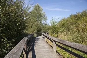 Drucke von Spazierweg durch Klärbecken, Naturreservat, Münster, Münsterland, Nordrhein-Westfalen, Deutschland Spazierweg durch Klärbecken, Naturreservat Mnster ,Mnsterland ,Nordrhein-Westfalen ,Deutschland Munster Drucke: Spazierweg durch Abwasserklärungsgebiete.
