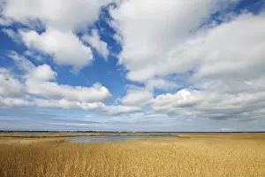 Northern Germany Scenery Drucke: Bodden landscape