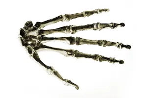 Human Hand Anatomy Drucke: Bones of the human hand, anatomical illustration