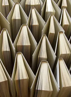 Empty Bookshelves Drucke: A few books