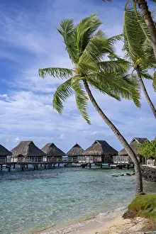 Bilder Datiert 2. Mai 2024: Bora Bora, Palmen, Liegestühle.