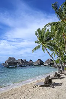 Bilder Datiert 2. Mai 2024: Bora Bora, Palmen, Liegestühle.