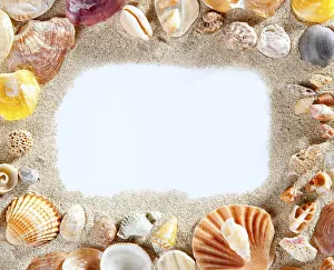 No People On The Beach Drucke: Border frame with summer beach shells and blank copy space paper