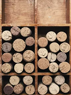 Close Up Grape Vine Drucke: Bottle cork in a wooden box using as background or header