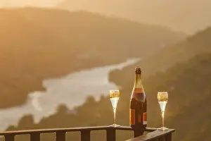 Sparkling Wine Drucke: Bottle of sparkling wine