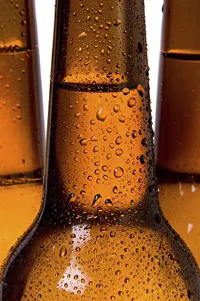 Bright Light Studio Photography Drucke: Bottles of Beer on a White background