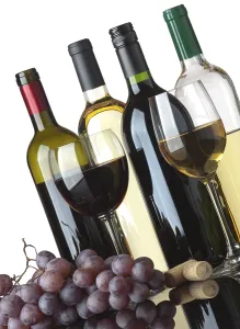 White Studio Background Photos Drucke: Several bottles of white and red wine