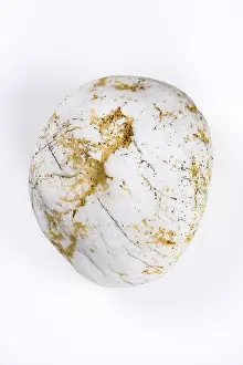 Bright Background Photography Drucke: Boulder, stone, cropped, white background