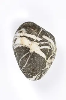 Studio Shot Rock Drucke: Boulder, stone, cropped, white background