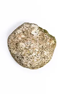Cutout Image Drucke: Boulder, stone, cropped, white background