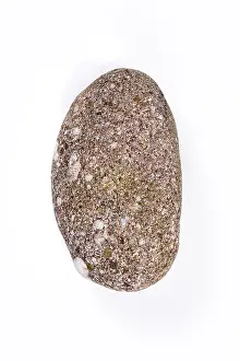 Studio Shot Rock Drucke: Boulder, stone, cropped, white background