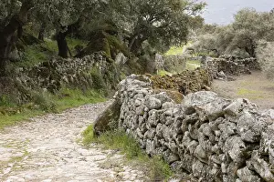 Extremadura Travel Photography Drucke: Boundary walls built of rock over centuries