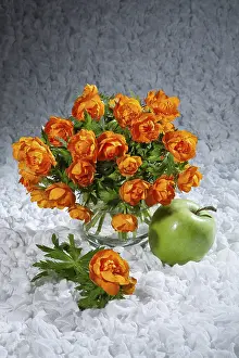 Floral Decoration Drucke: Bouquet with flowers on a studio background
