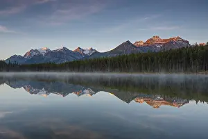 Herbert Lake Reflections Drucke: The Bow Range reflected in Herbert Lake at dawn