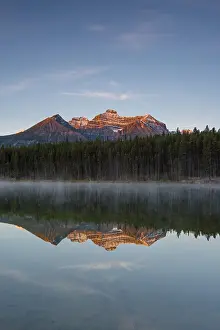 Herbert Lake Reflections Drucke: The Bow Range reflected in Herbert Lake at dawn