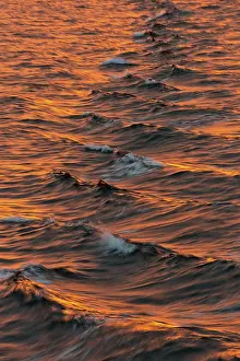 Svalbard Archipelago Water Surface Drucke: Bow waves in the evening light