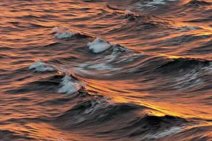 Svalbard Archipelago Water Surface Drucke: Bow waves in the evening light