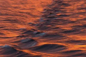 Svalbard Archipelago Water Surface Drucke: Bow waves in the evening light