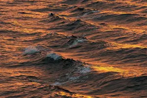 Svalbard Archipelago Water Surface Drucke: Bow waves in the evening light