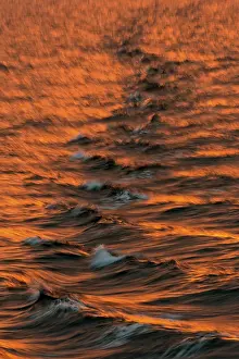 Svalbard Archipelago Water Surface Drucke: Bow waves in the evening light