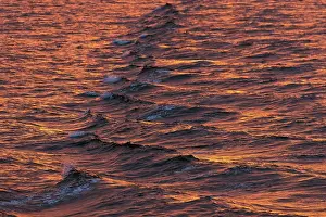 Northern Europe Waterfront Scene Drucke: Bow waves in the evening light