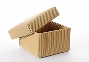 Still Life Studio Photo Drucke: Box with lid