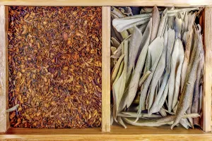 Symbolic Food Image Drucke: Box with set of different types tea