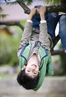 Caucasian Kid Playing Outside Drucke: Boy, 8, haning from a tree