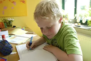 Pisa Province Schools Drucke: Boy with the homework