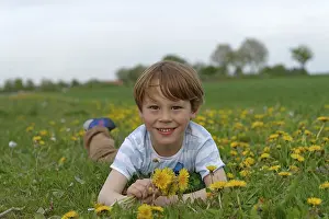 Springtime Landscape Germany Drucke: Boy lying in a dandelion meadow