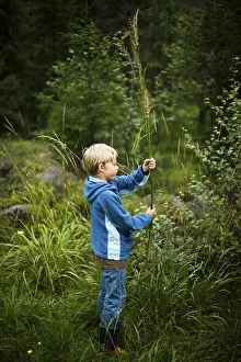 Young Boy In Nature Drucke: Boy in Nordmarka