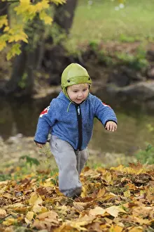 Young Boy In Autumn Drucke: Boy walking in leaves