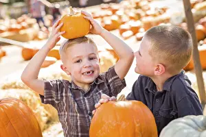 Pumpkin Patch Kids Drucke: Two boys at the pumpkin patch talking about their pumpkins and having fun on a fall day