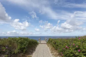 East Frisian Islands Drucke: Braderup Heath, path to the mudflats