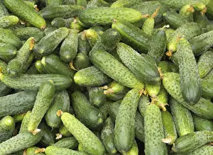 Deserted Vegetable Market Drucke: Braised cucumbers