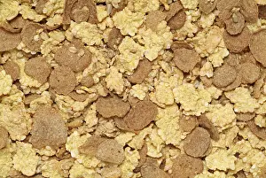 Breakfast Cereal Drucke: Bran Flakes, Breakfast Cereal
