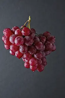 Vineyard Scene Drucke: Branch of big red grape